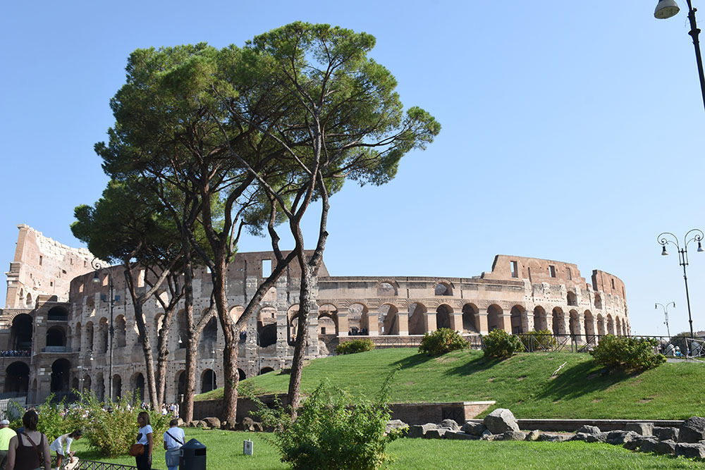 Rome Colosseum with green grass and trees and blue sky